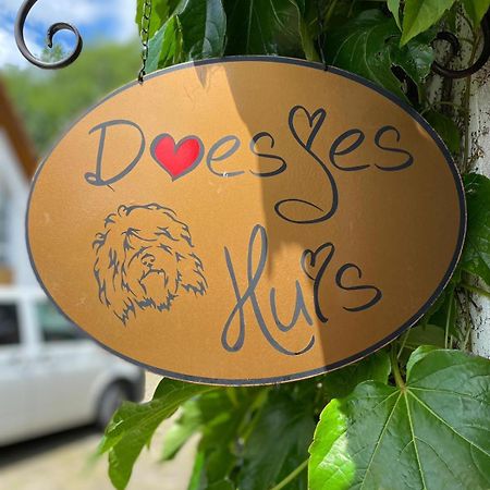 Appartement Doesjes Huis Naumburg  Exteriör bild