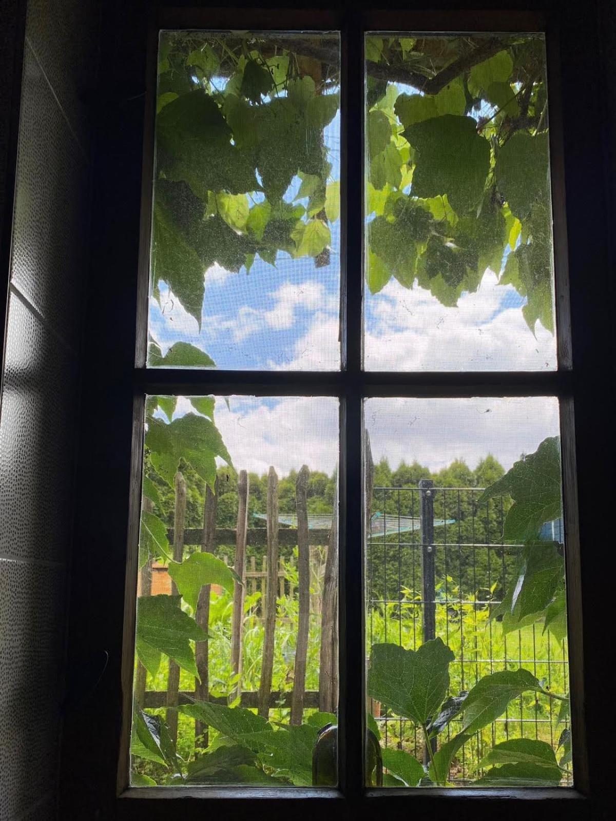 Appartement Doesjes Huis Naumburg  Exteriör bild